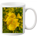 Cup 13.75 &euro;
