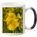 Magic Mug 19.75 &euro;