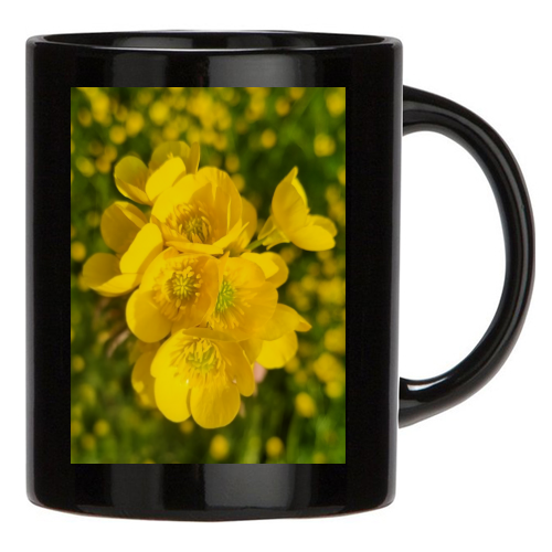 Tazza Nera