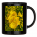 Black Cup 15.00 &euro;
