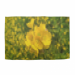 Beach Towel 100x150 41.75 &euro;