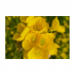 Canvas 30x20 29.90 &euro;