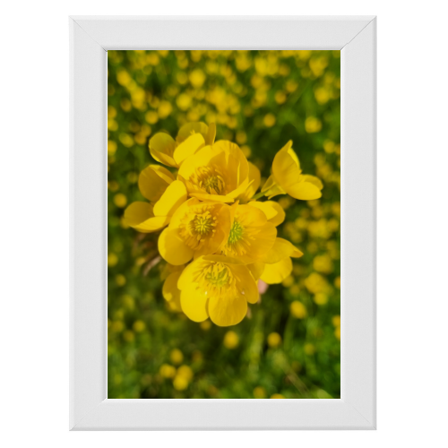 Poster con Cornice 20x30