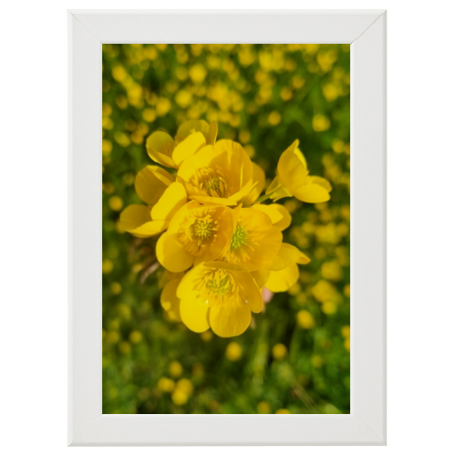 Poster con Cornice 30x45