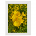 30x45 Framed Poster 74.75 &euro;