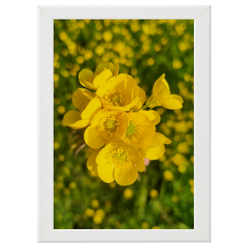 Poster con Cornice 40x60
