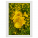 40x60 Framed Poster 124.75 &euro;