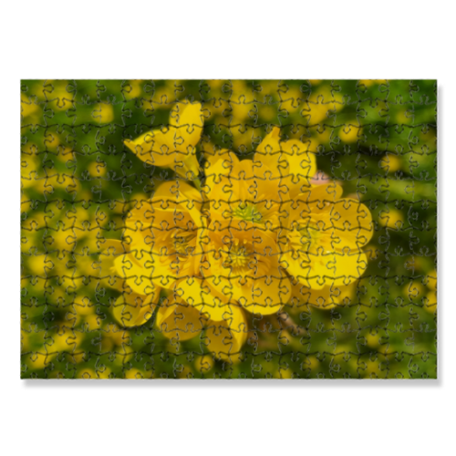 Puzzle 30x40