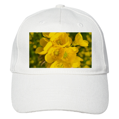 Baseball Cap Canapa