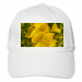 Hemp Baseball Cap 20.90 &euro;