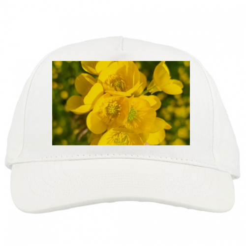 Baseball Cap Premium