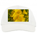 Premium Baseball Cap 19.90 &euro;