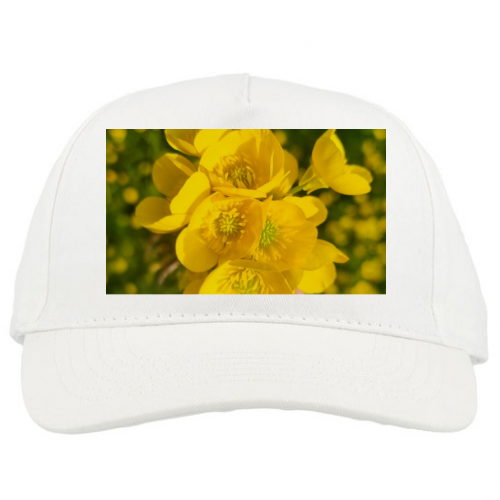 Baseball Caps