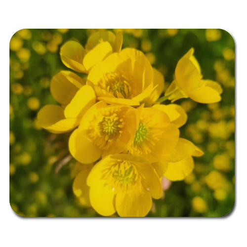 Mousepad