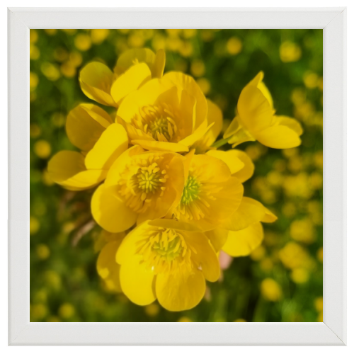 Poster con Cornice 40x40