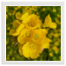 40x40 Framed Poster 99.75 &euro;