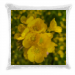 Pailettes pillow 24.90 &euro;