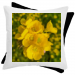 Bicolor pillow 19.90 &euro;