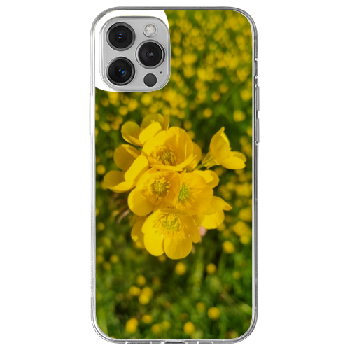Cover Gomma iPhone 13 Pro