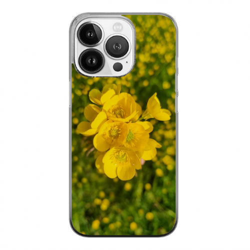 Cover Gomma iPhone 15 Pro