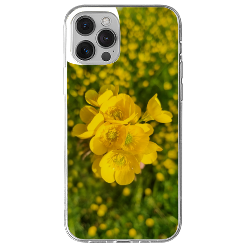 Cover Gomma iPhone 12 Pro Max