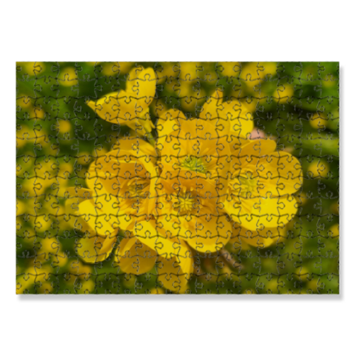 Puzzle 30x40