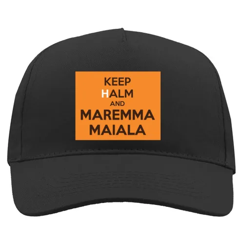 Baseball Cap Premium