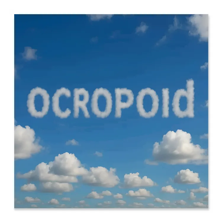 ocropoid