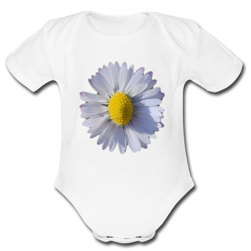 Body Bambino