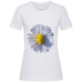 T-Shirt Women Premium  24.90 &euro;