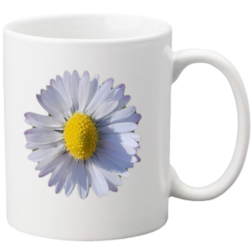 Tazza
