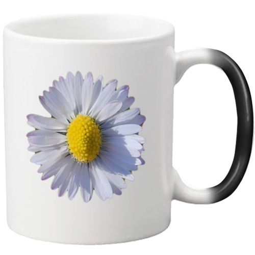 Tazza Magica