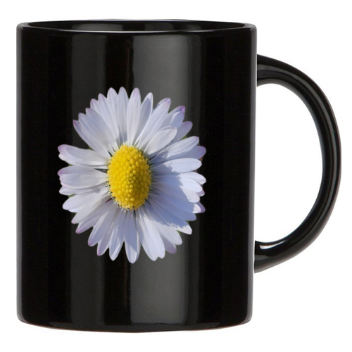 Tazza Nera