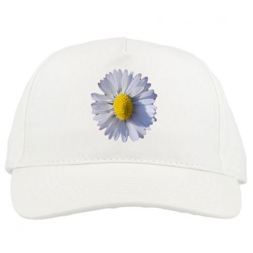 Baseball Cap Premium
