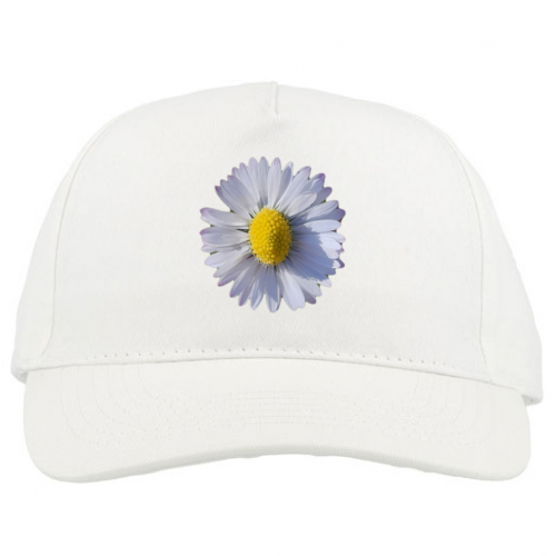 Baseball Caps