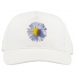 Baseball Caps 19.90 &euro;