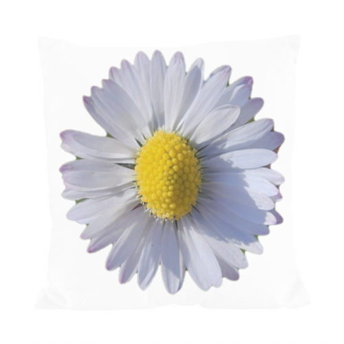 Cuscino All Over Print
