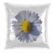Pailettes pillow 24.90 &euro;