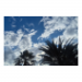 Canvas 45x30 31.25 &euro;
