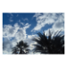 Canvas 60x40 62.50 &euro;
