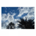 Canvas 90x60 87.50 &euro;
