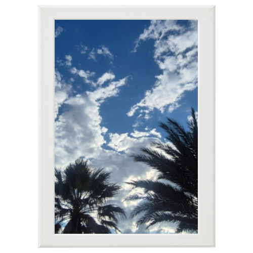 Poster con Cornice 40x60