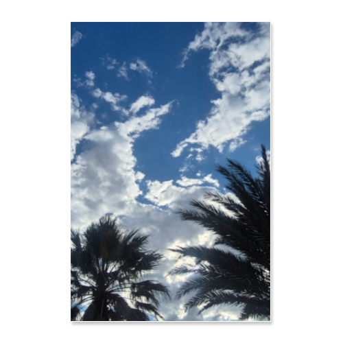 Poster 30x45