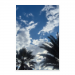 Poster 60x90 30.00 &euro;