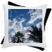 Bicolor pillow 19.90 &euro;