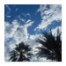 Poster 50x50 20.00 &euro;