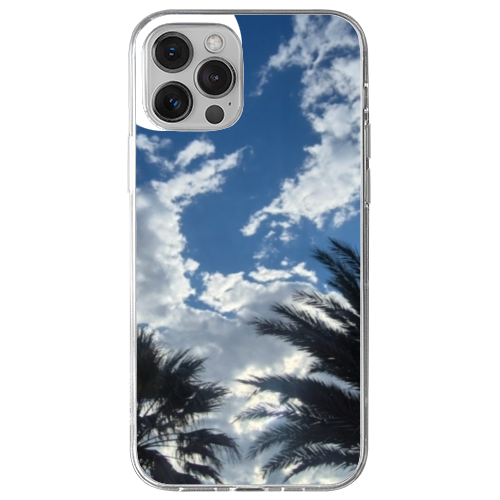 Cover Gomma iPhone 13 Pro
