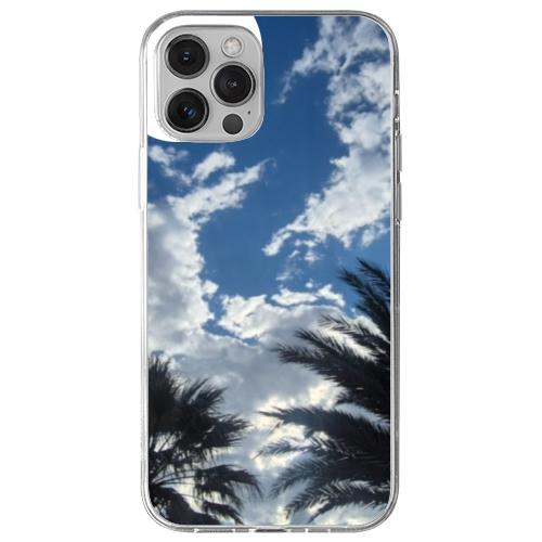 Cover Gomma iPhone 13 Pro Max