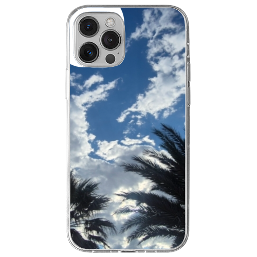 Cover Gomma iPhone 12 Pro Max