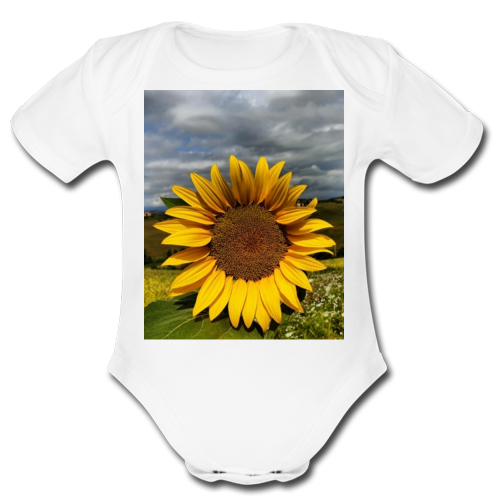 Body Bambino